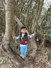 吕允祈 (优异奖) - 带孩子感受林木的宏伟，希望孩子在繁荣的城市中，学习用最纯洁的心保护林木，使用再生纸、不使用一次性餐具，从小培养爱护林木、一花一草的好习惯，与树木园境一起健康长大。